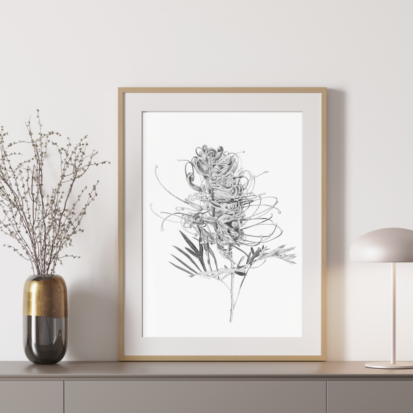 Grevillea - Print