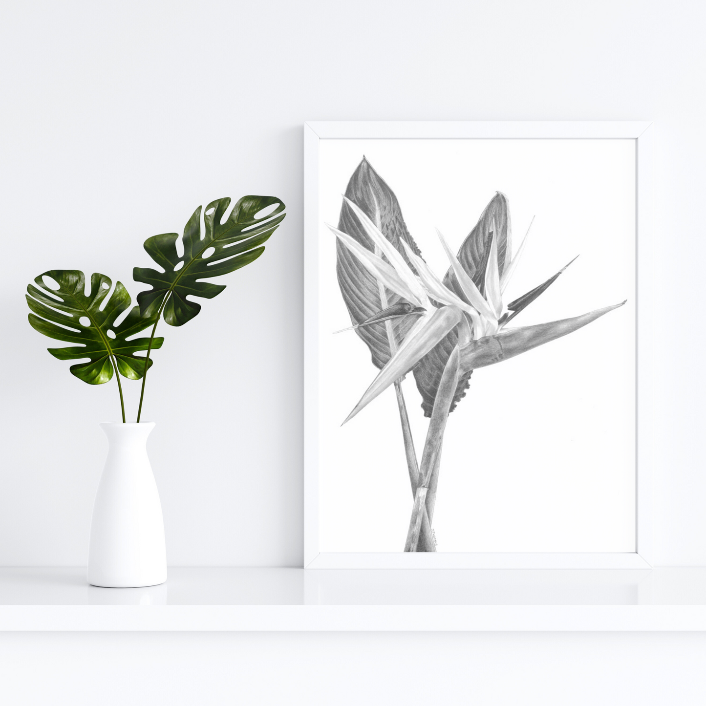 Double Strelitzia - Print