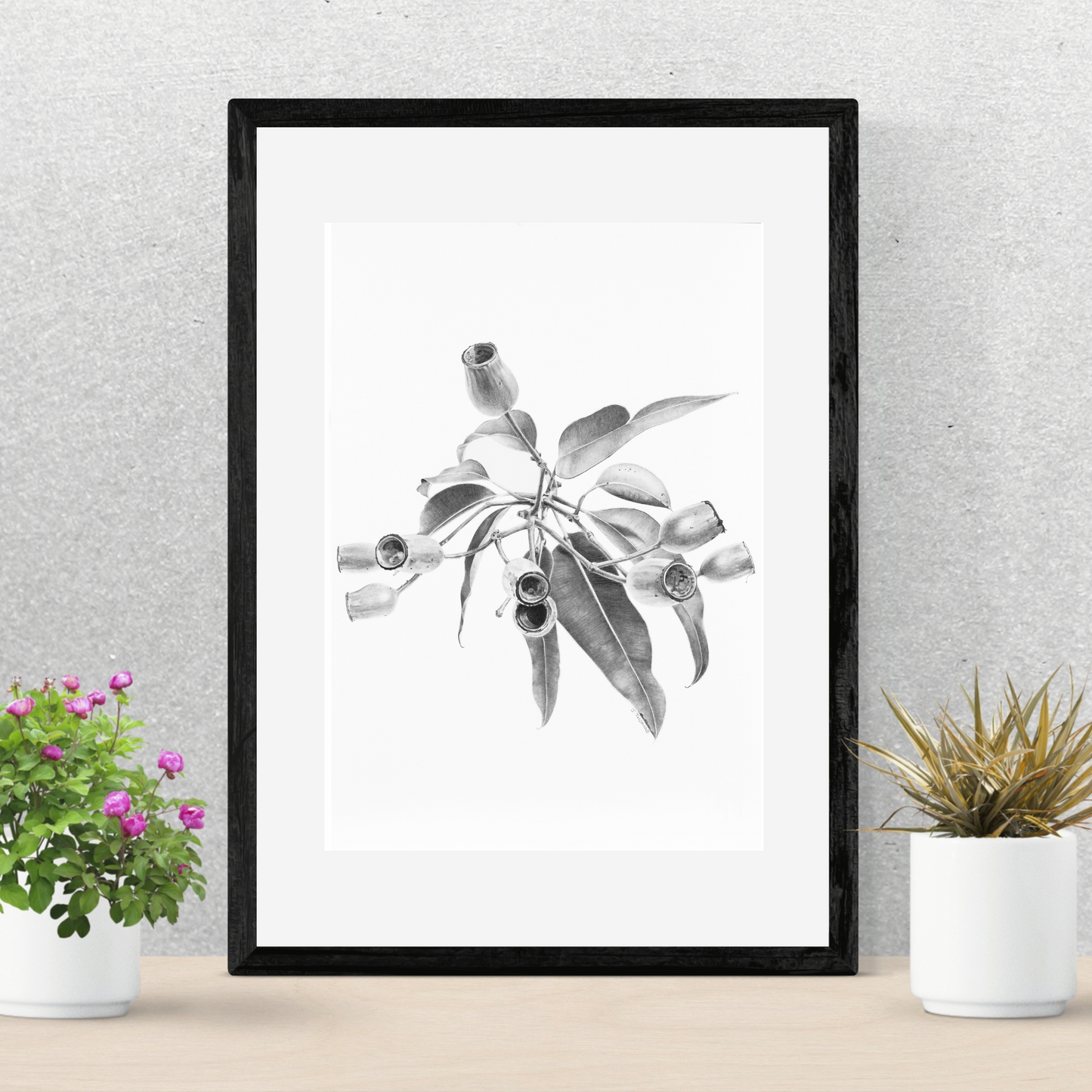 Gumnuts - Print