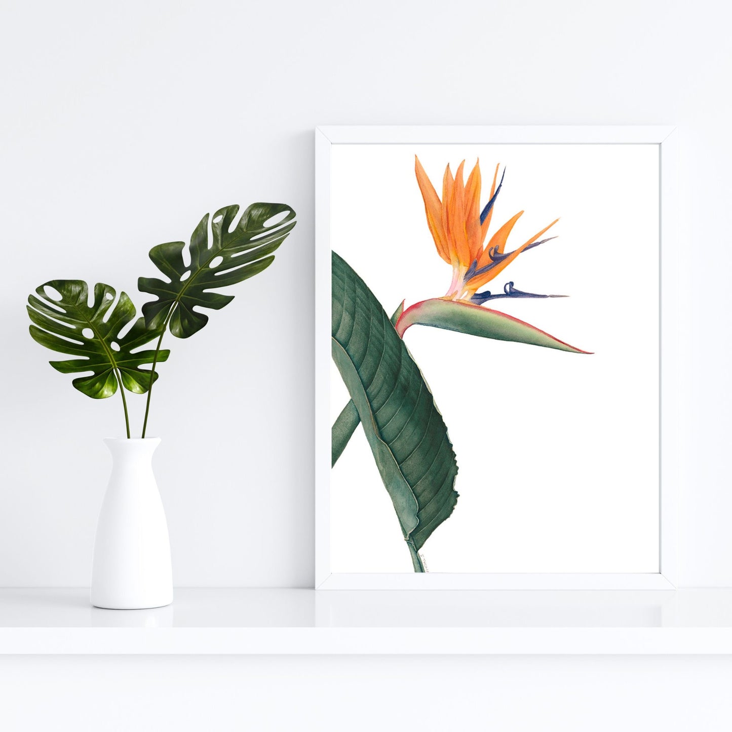 Bird of Paradise -Print