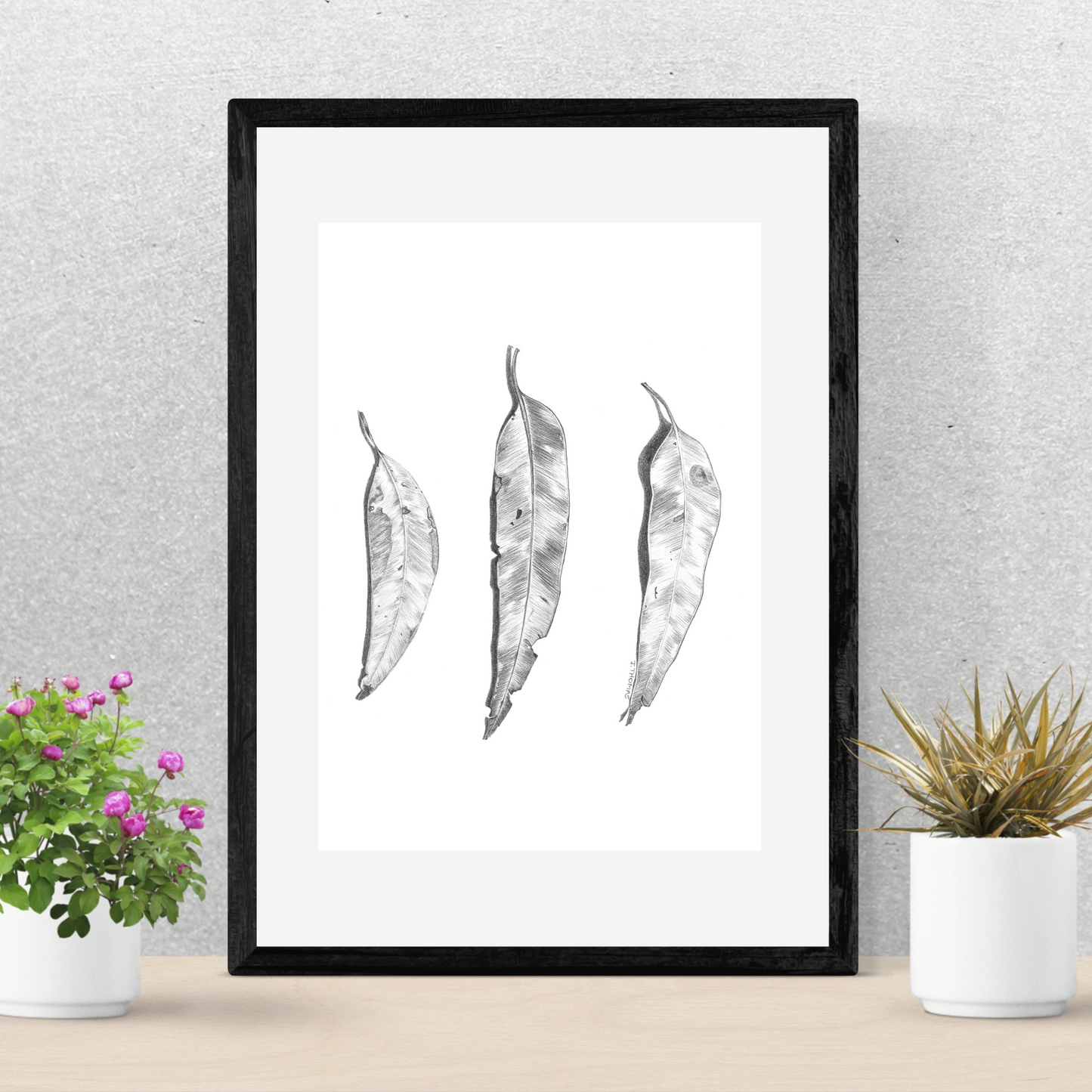 Gum Leaves- Print