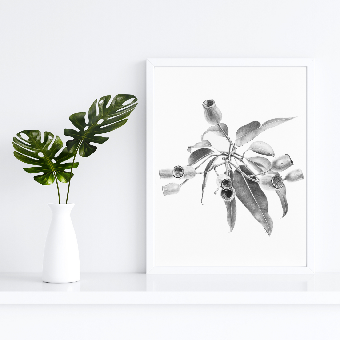 Gumnuts - Print