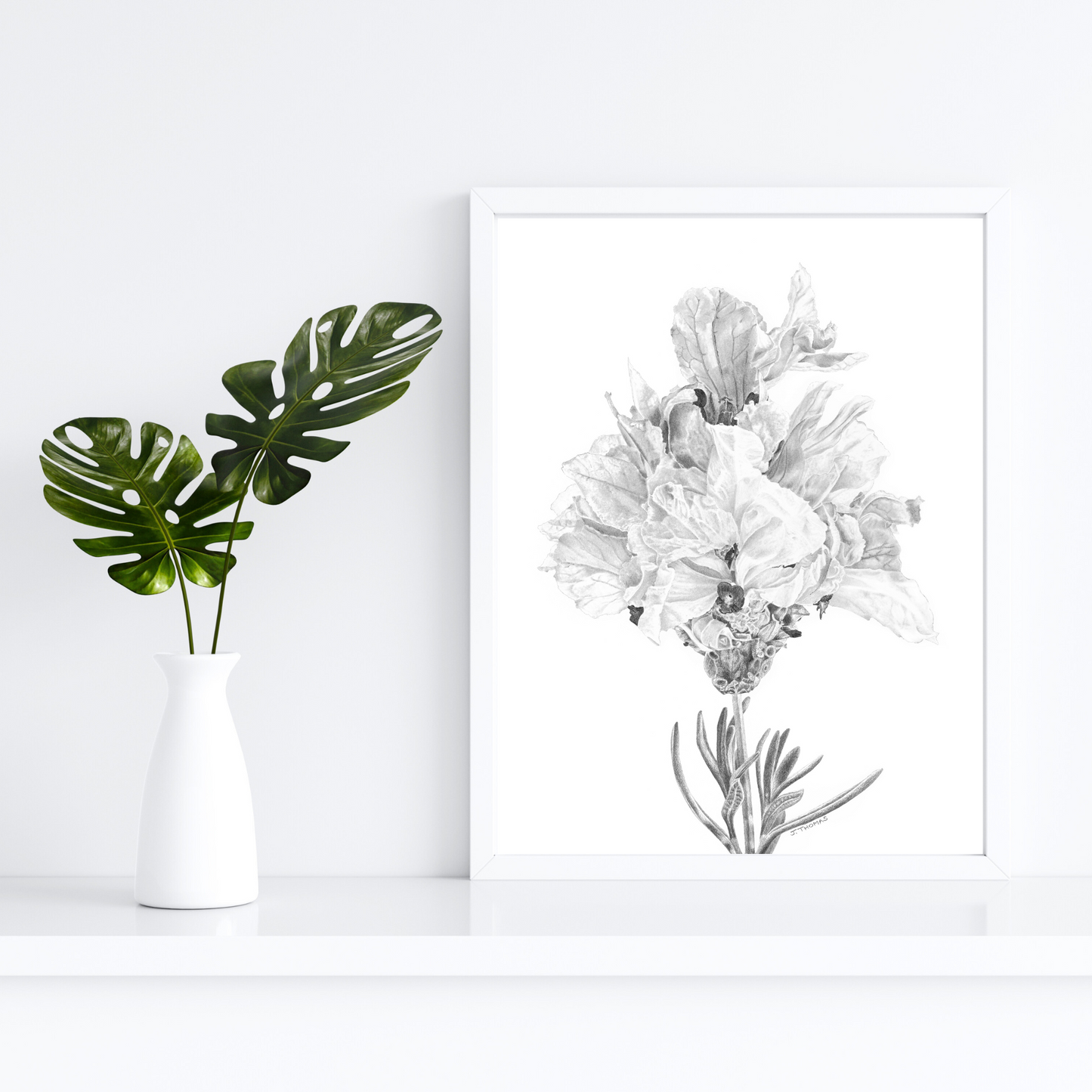 Double Lavender- Print