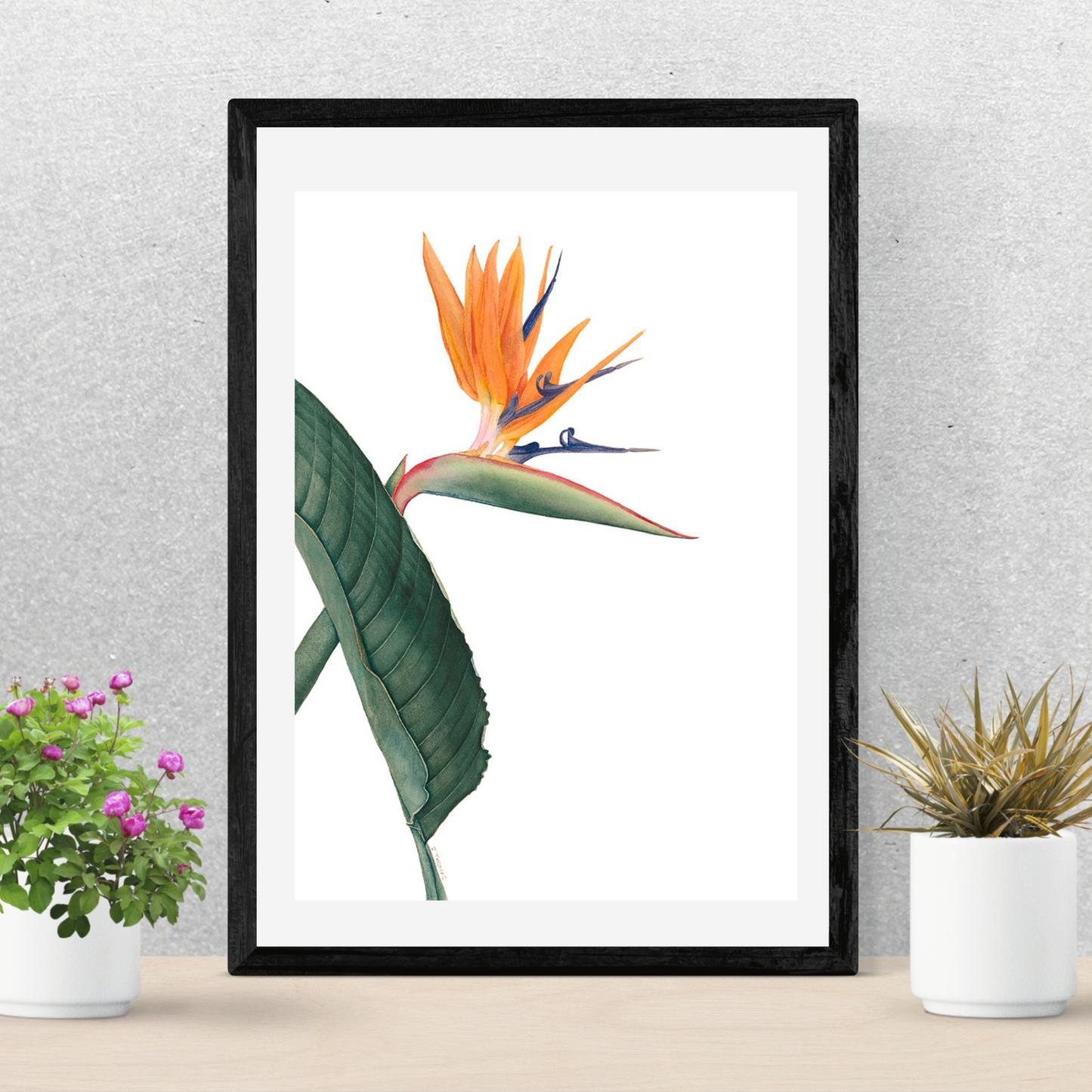Bird of Paradise -Print
