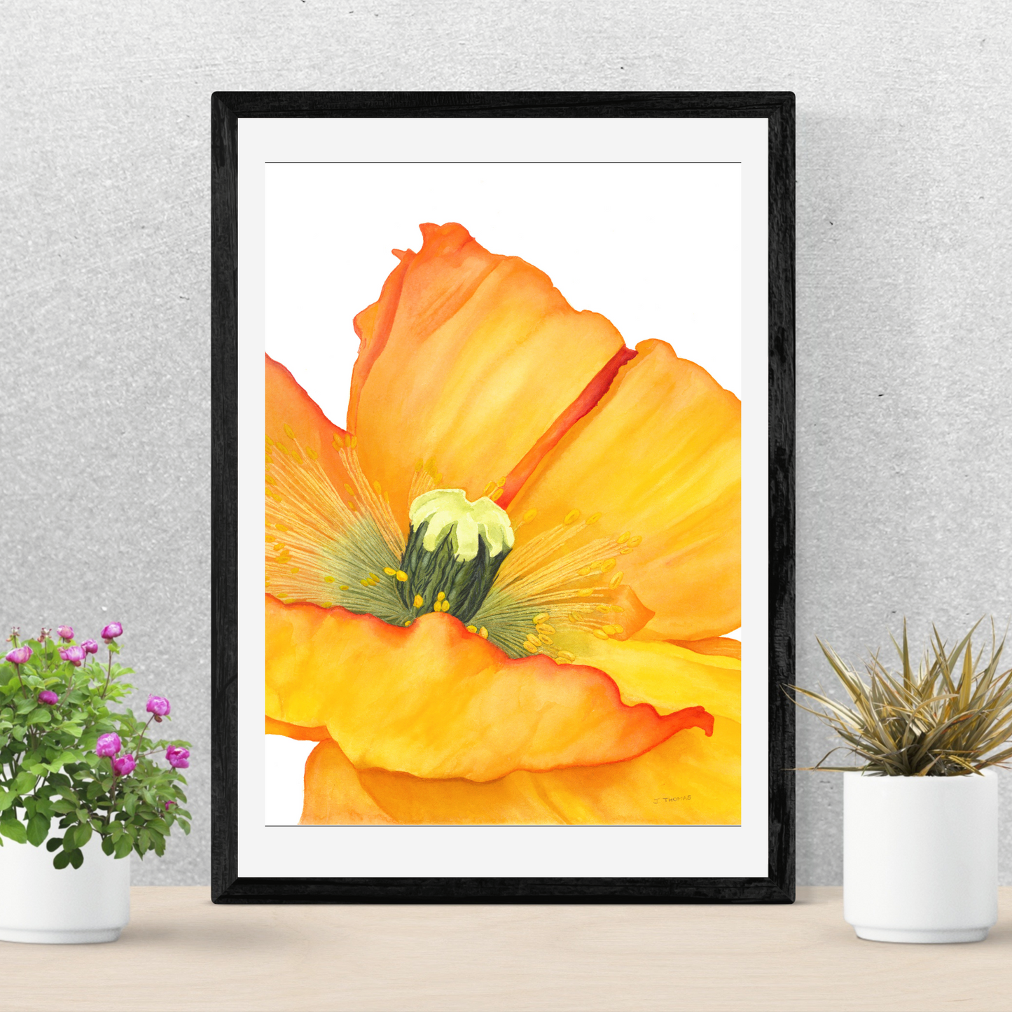 Poppy -Print