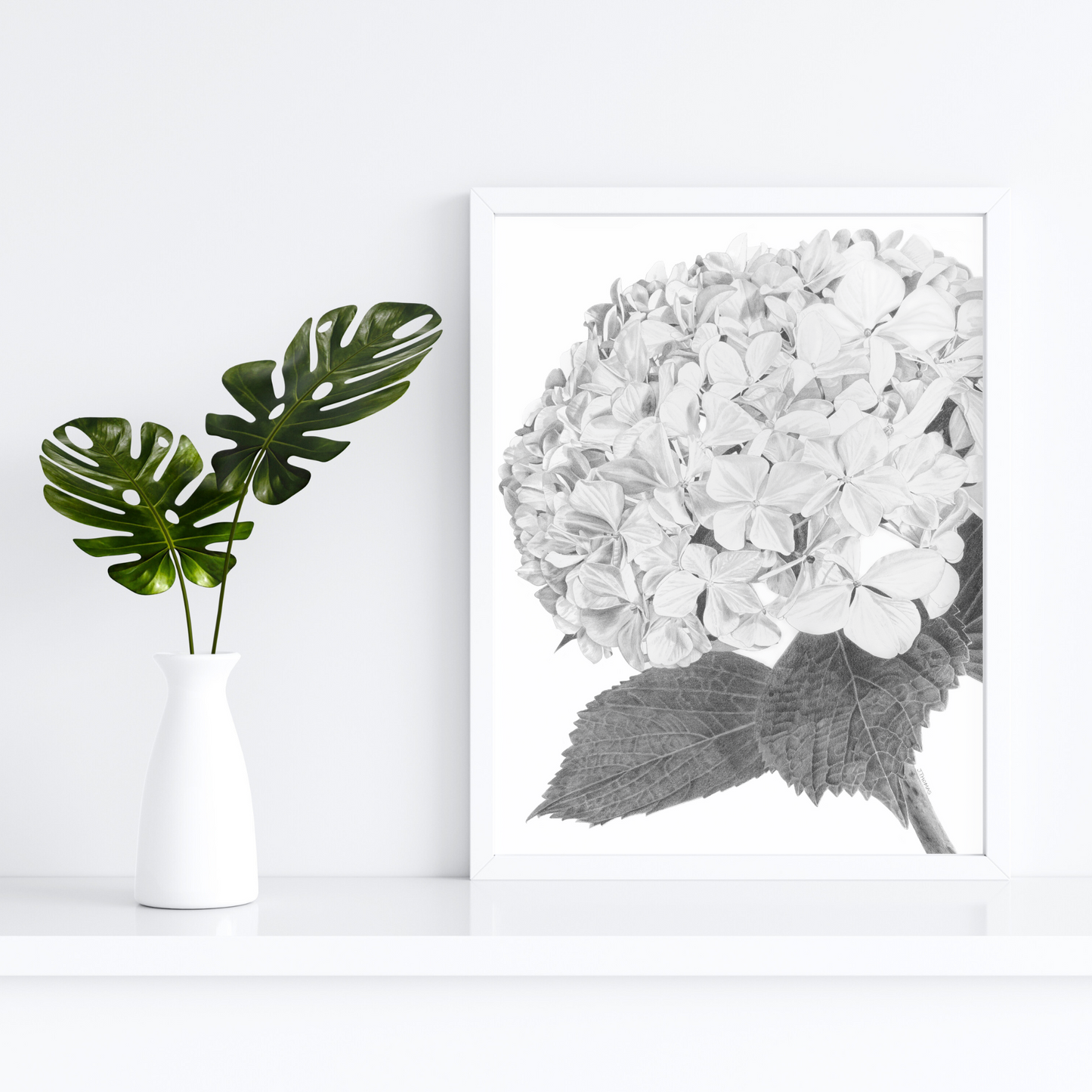 Hydrangea- Print