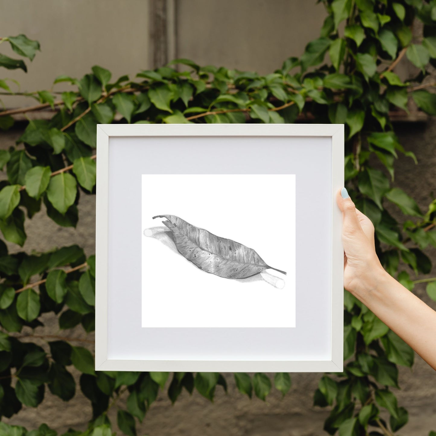 Gum Leaf- Print