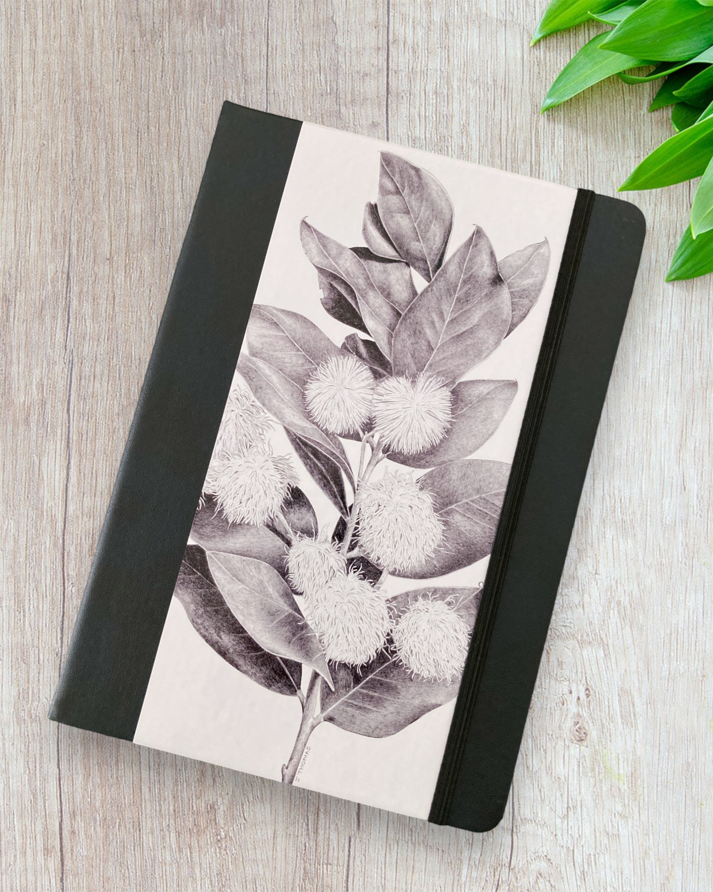 Wattle A5 Notebook