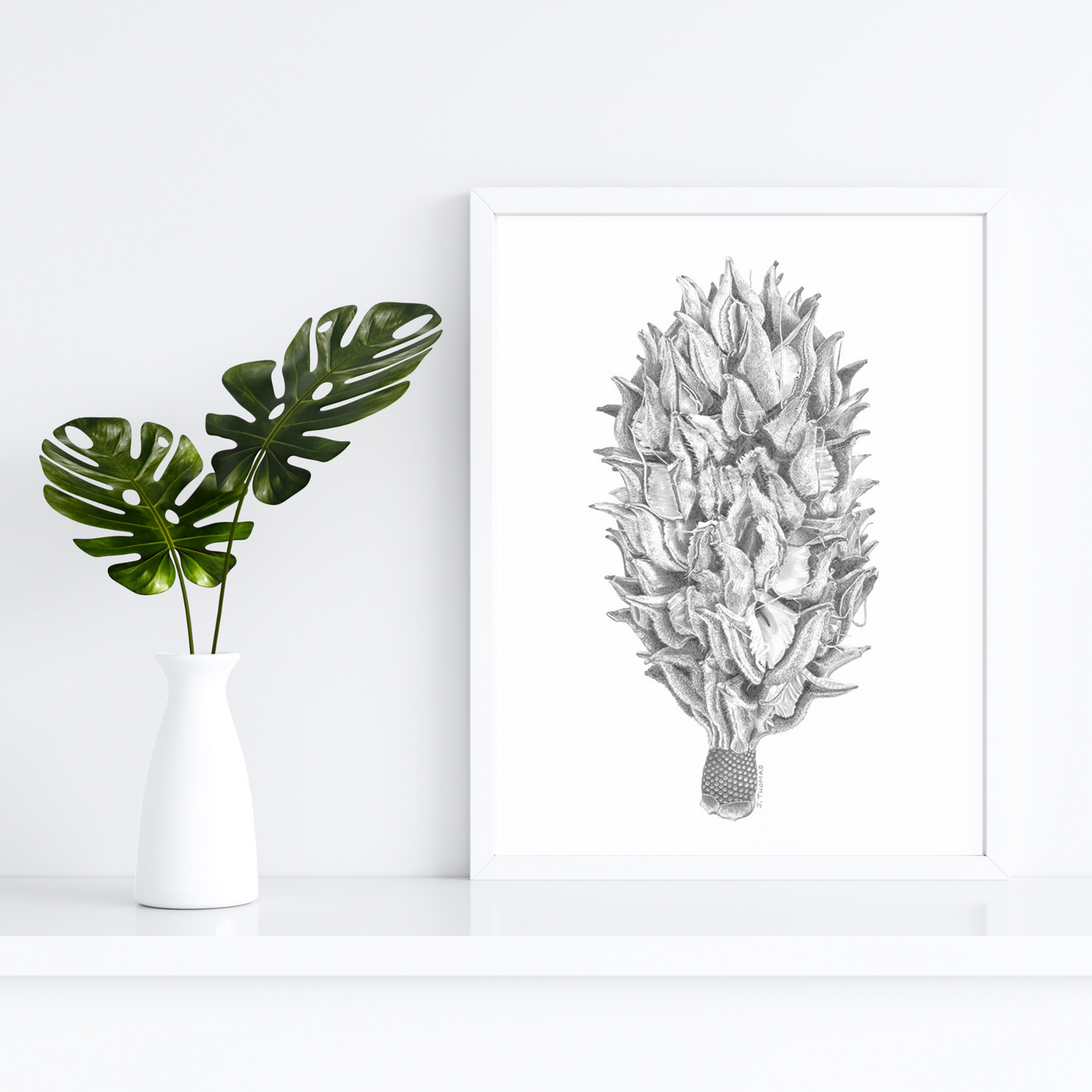 Magnolia Seedpod - Print