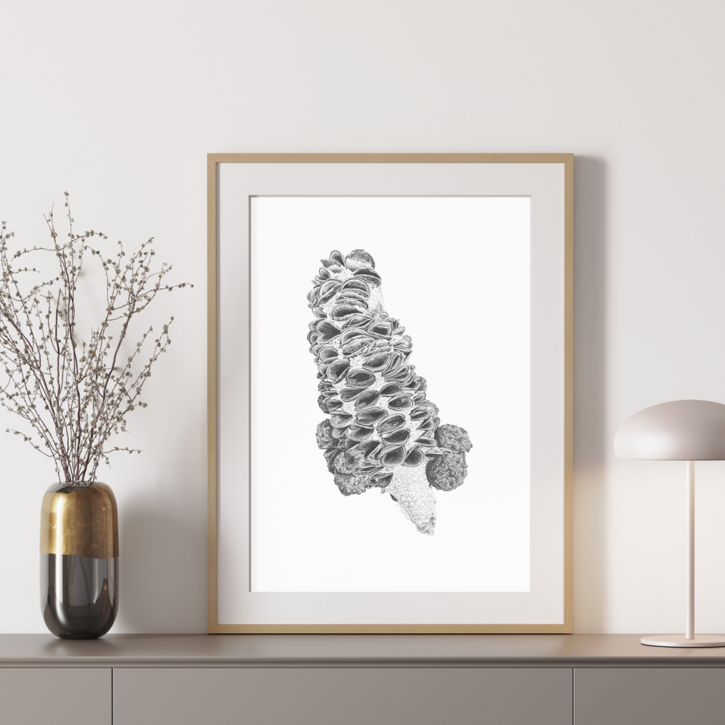 Banksia Seedpod - Print