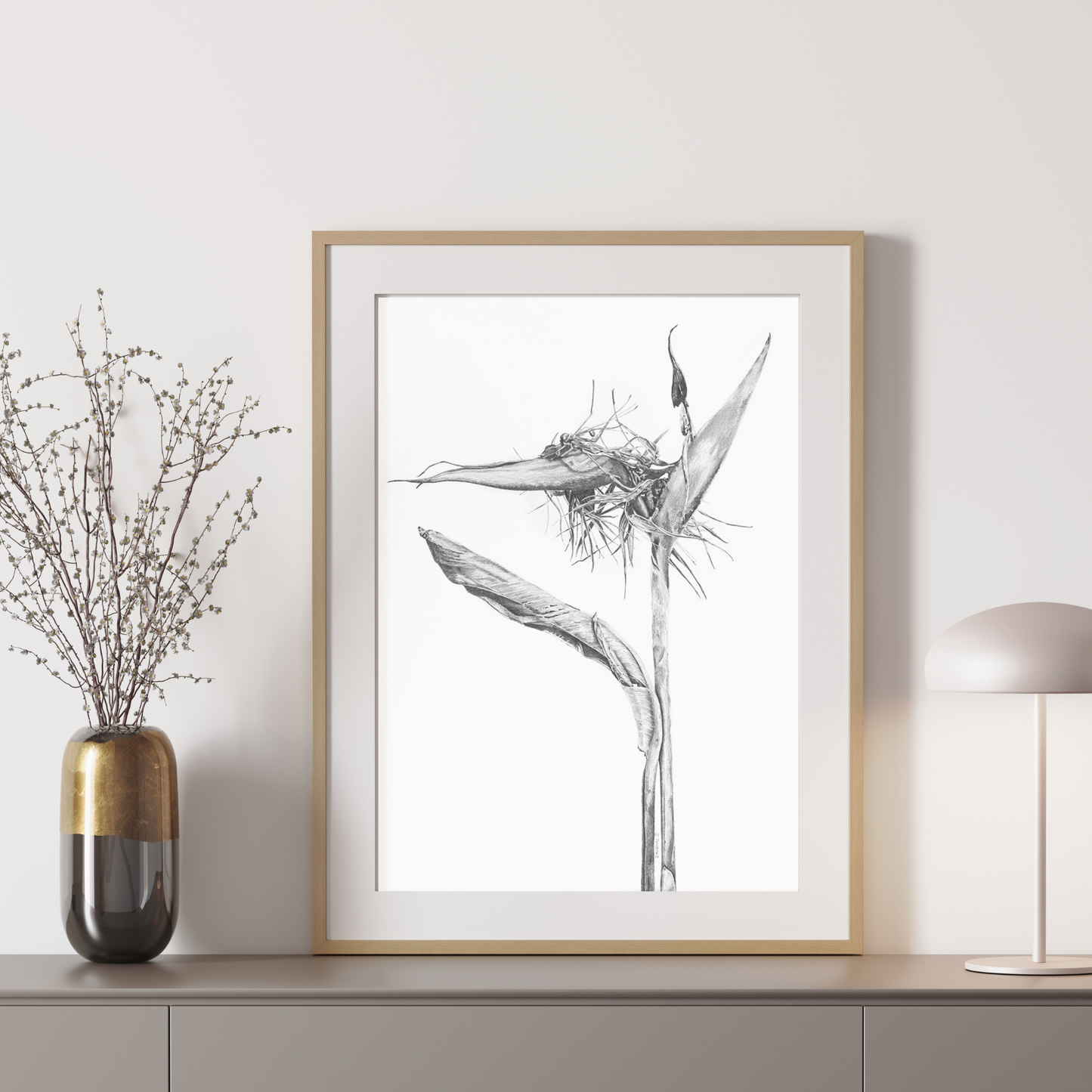Dying Strelitzia - Print