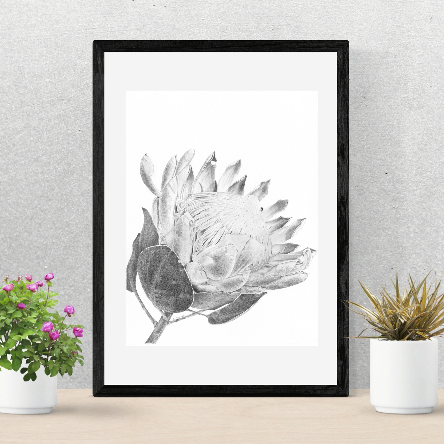 King Protea- Print