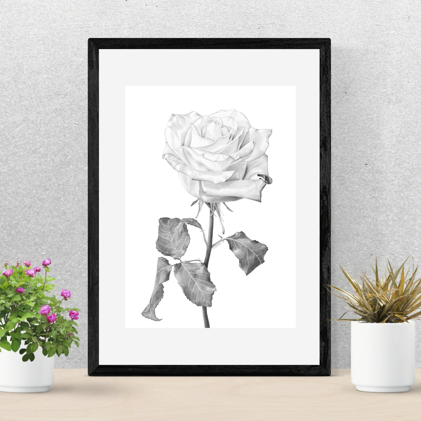 Rose- Print