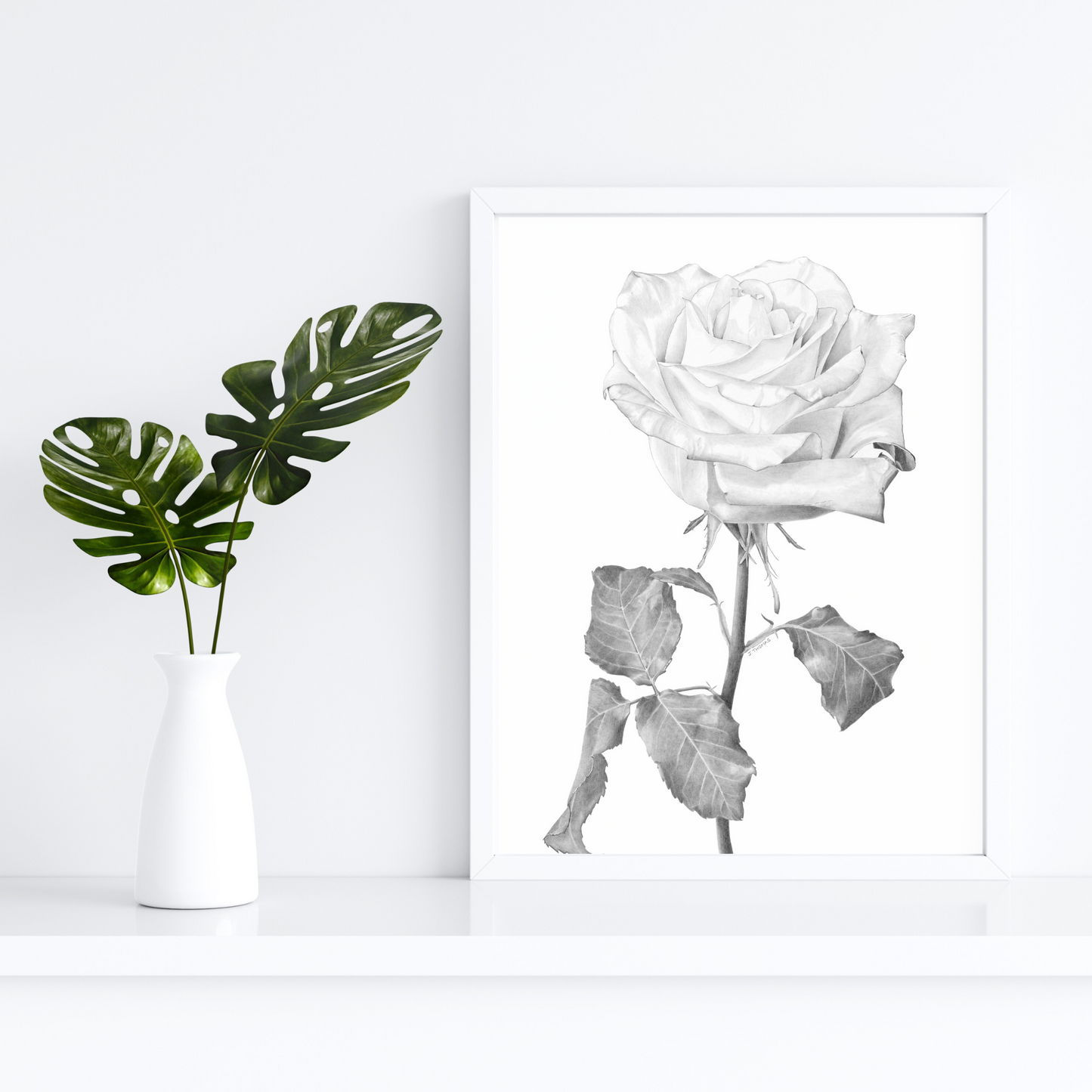 Rose- Print