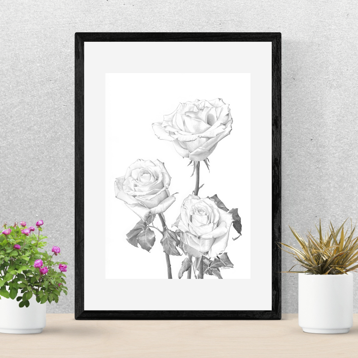 Roses - Print