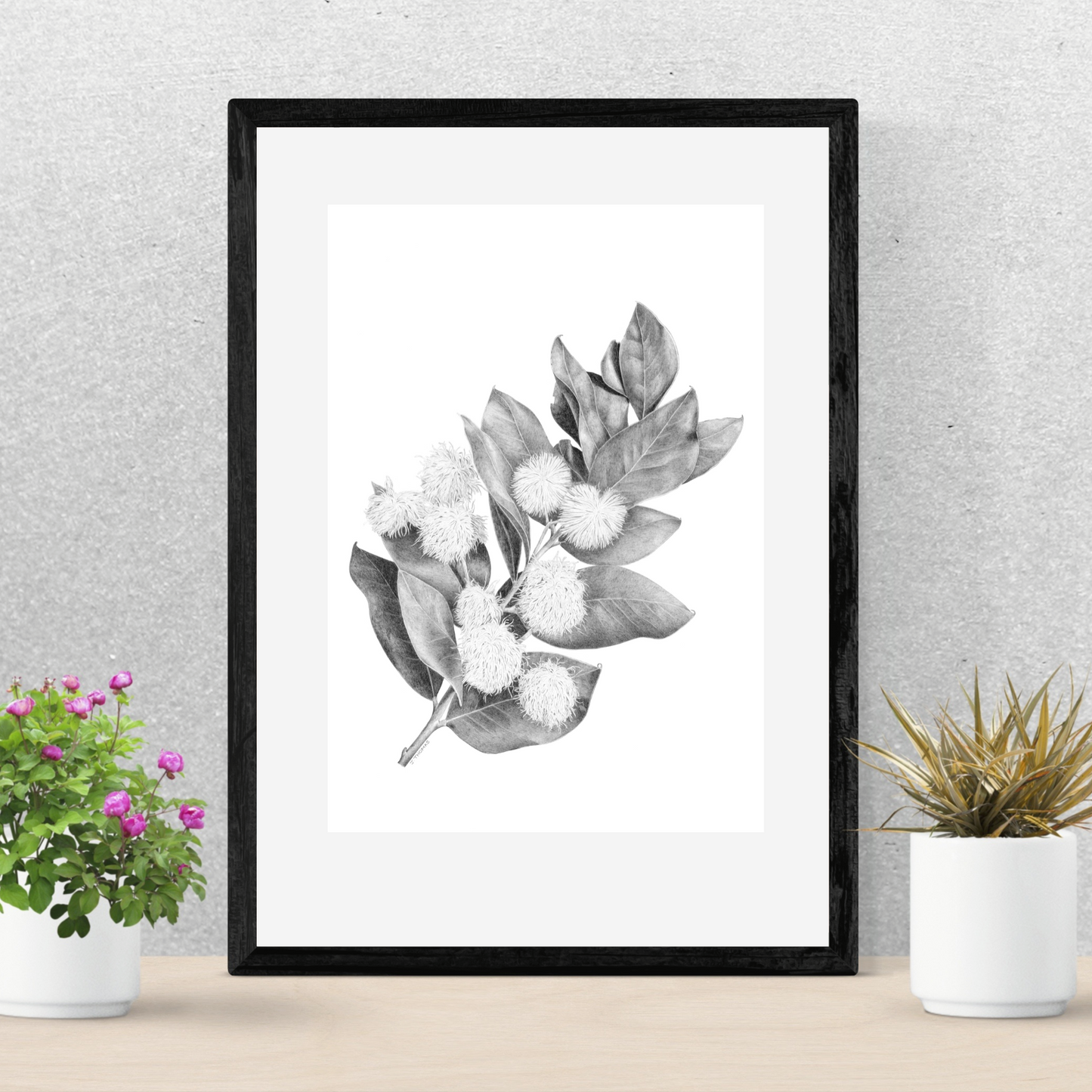 Wattle- Print