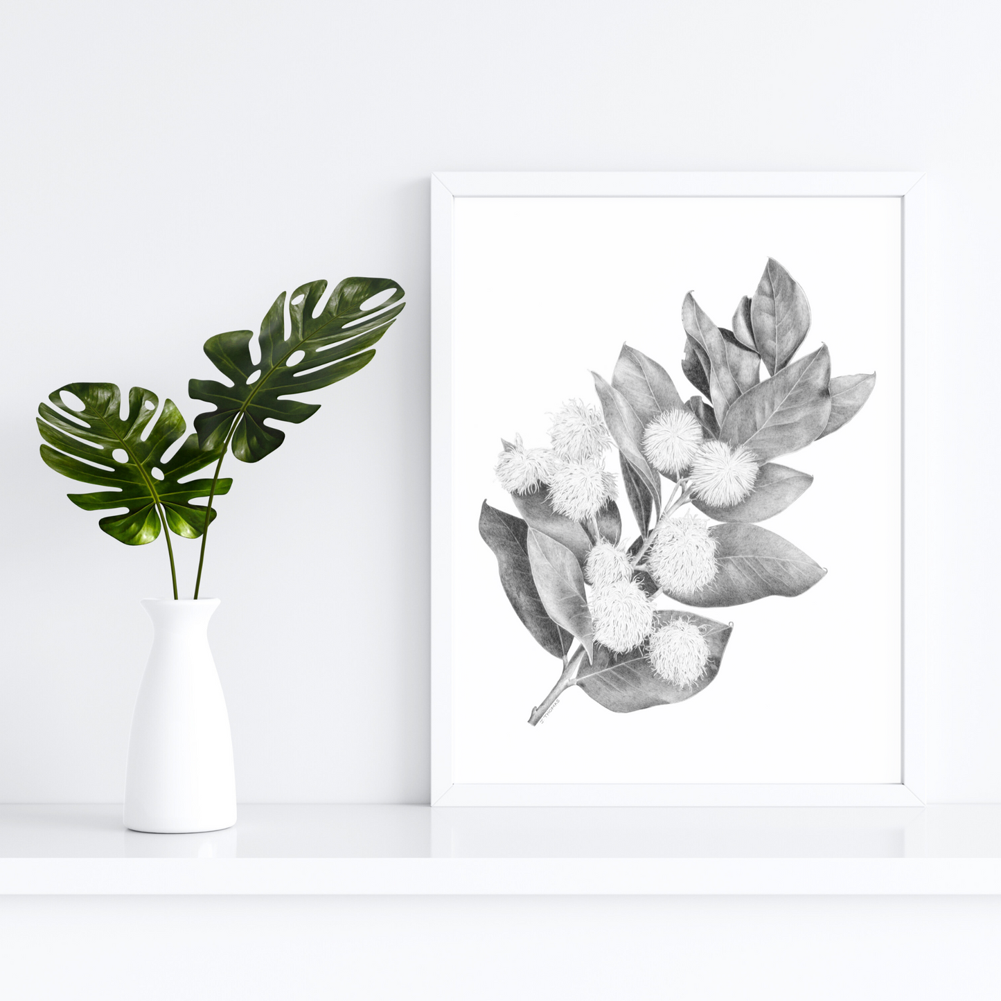 Wattle- Print