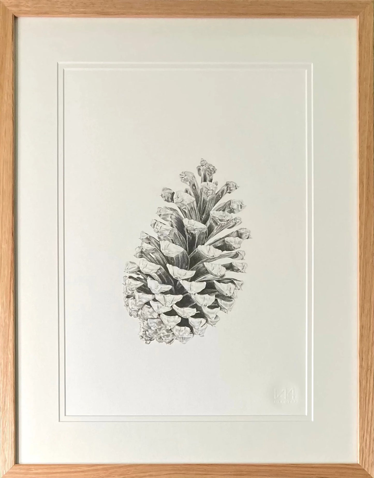 Pine Cone