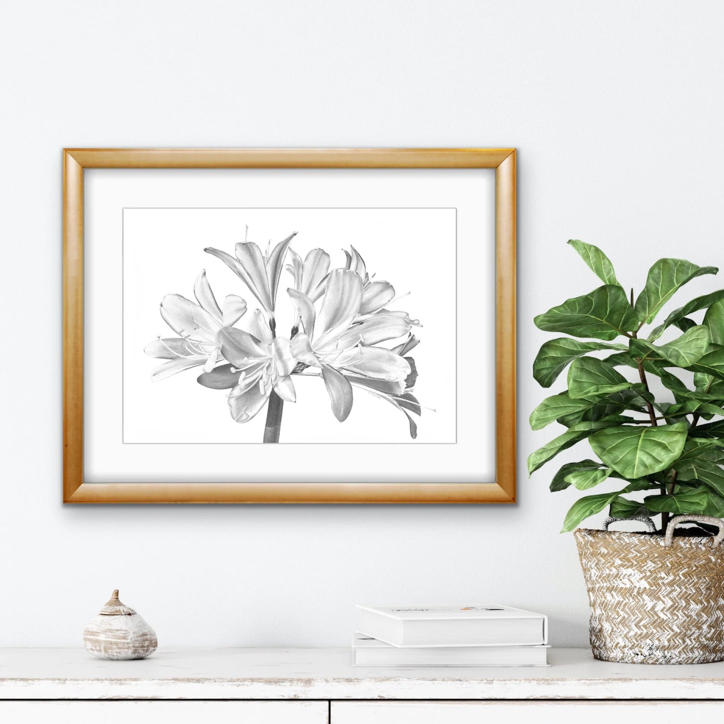 Clivia - Print