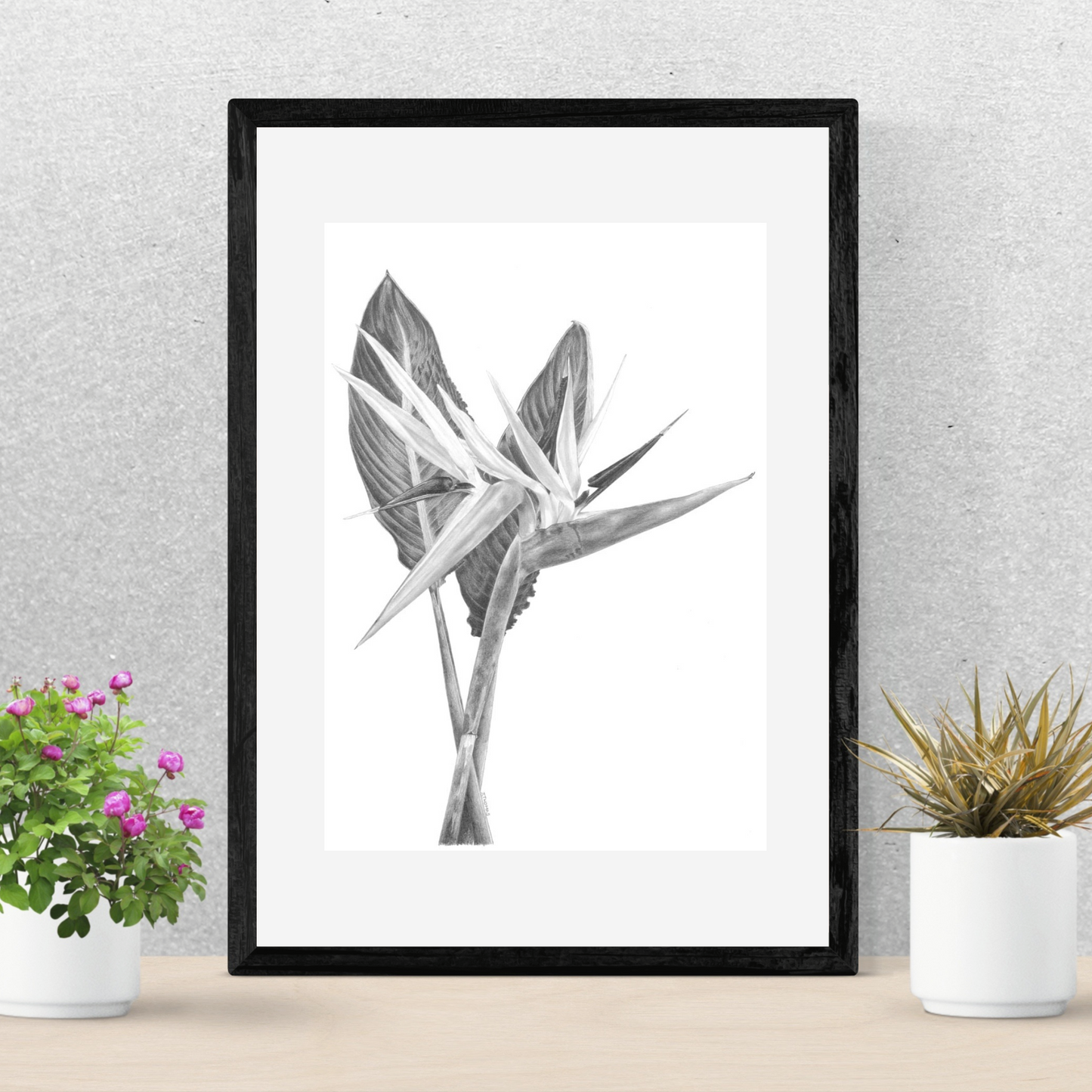 Double Strelitzia - Print