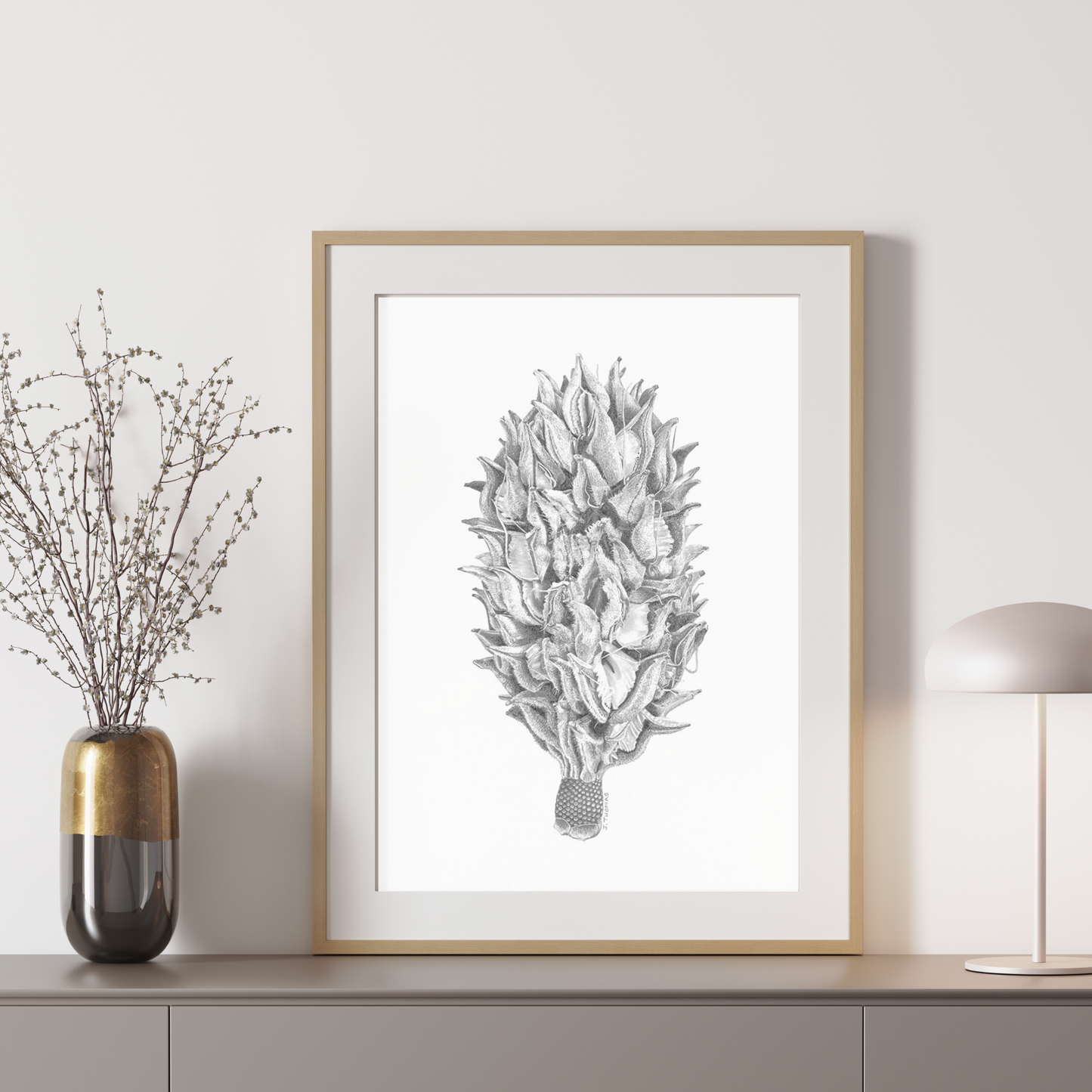 Magnolia Seedpod - Print