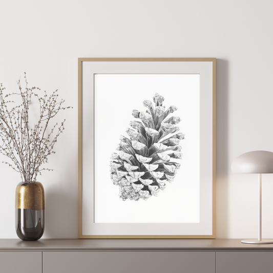 Pine Cone - Print